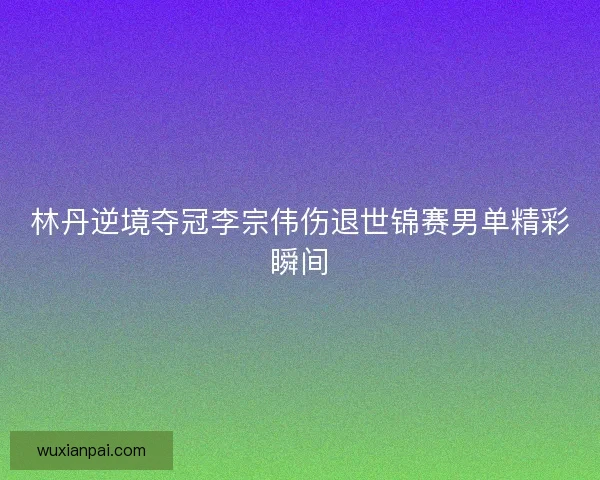 林丹逆境夺冠李宗伟伤退世锦赛男单精彩瞬间